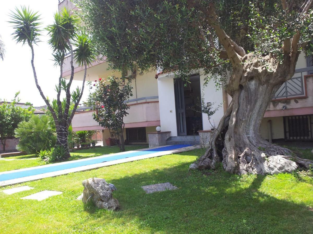 سكافاتي Vesuvio Bed & Breakfast المظهر الخارجي الصورة